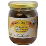 MEL APIARIO SO MEL COMPOSTO AGR/GUA/TOLU VD 260G