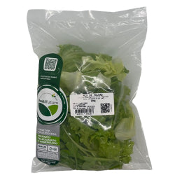 SALADA MISTA AGRO SERRA 200g