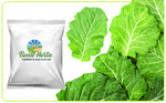 REPOLHO ROXO AGRO SERRA FATIADO BD