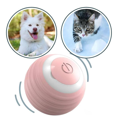 BOLA UTILIPET CACHORRO C/1