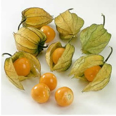 PHYSALIS 800g