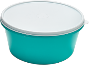 POTE PLAST TRITEC ORGANIZA HERMETICO COLOR 2l