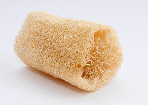 BUCHA VEGETAL BEAUTY BANHO INATURA C/1