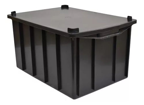 CAIXA PLASTICA CATUI C/TAMPA 38,5X23,5cm