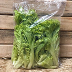 ALFACE CRESPA AGRO SERRA HIGIENIZAD