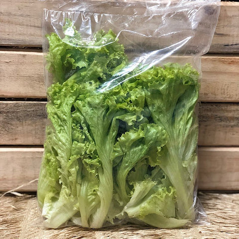 ALFACE CRESPA AGRO SERRA HIGIENIZAD