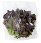 ALFACE ROXA AGRO SERRA HIGIENIZADA