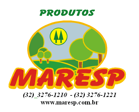 IOGURTE MARESP MORANGO 170g