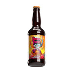 CERVEJA HOCUS POCUS ORANGE SUNSHINE ALE 500ml