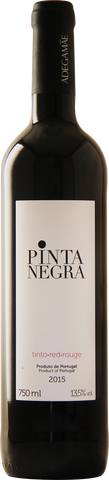 KIT VINHO MARQUES CASA CONCHA 750ml+1 DECANTER