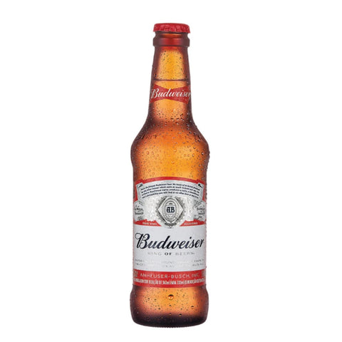 CERVEJA BUDWEISER LONG NECK 330ML