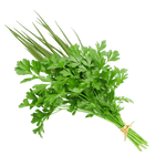 CHEIRO VERDE UN
