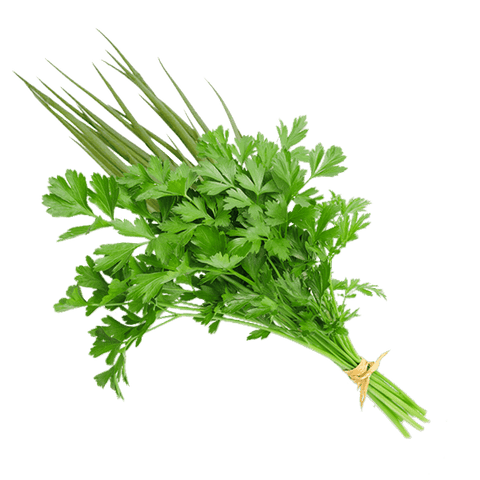 CHEIRO VERDE UN