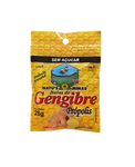BALA NATUS MINAS GENGIBRE PROPOLIS S/ACUCAR 28g
