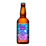 CERVEJA HOCUS POCUS INTERSTELLAR IPA 500ml