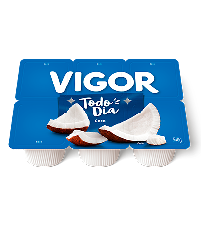 IOGURTE VIGOR POLPA TODO DIA COCO 540G